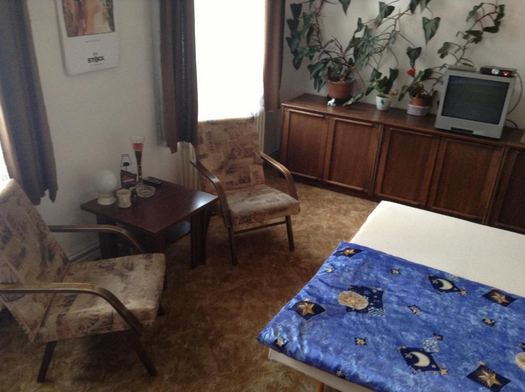 At Pension Τσέσκε Μπουντεγιόβιτσε Δωμάτιο φωτογραφία